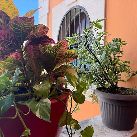 Hotel Casa Mallorca Cancún Exteriör bild