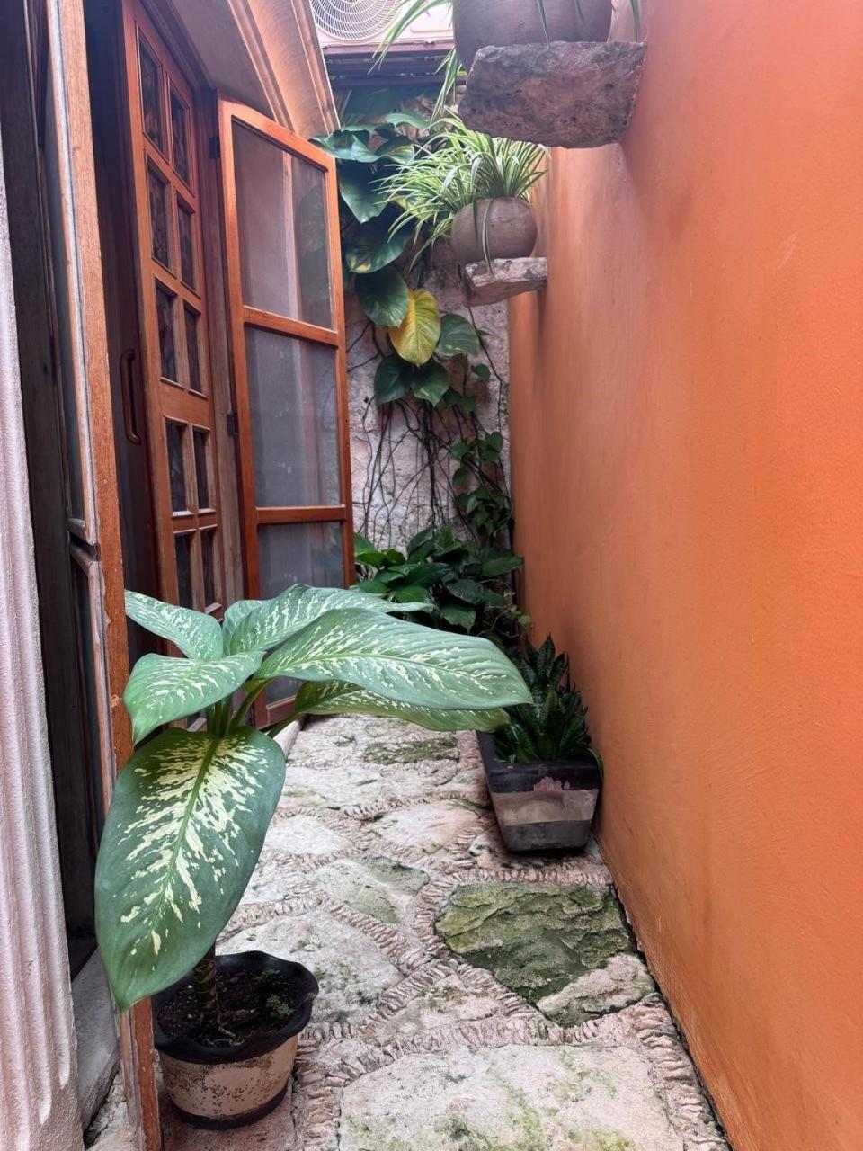 Hotel Casa Mallorca Cancún Exteriör bild