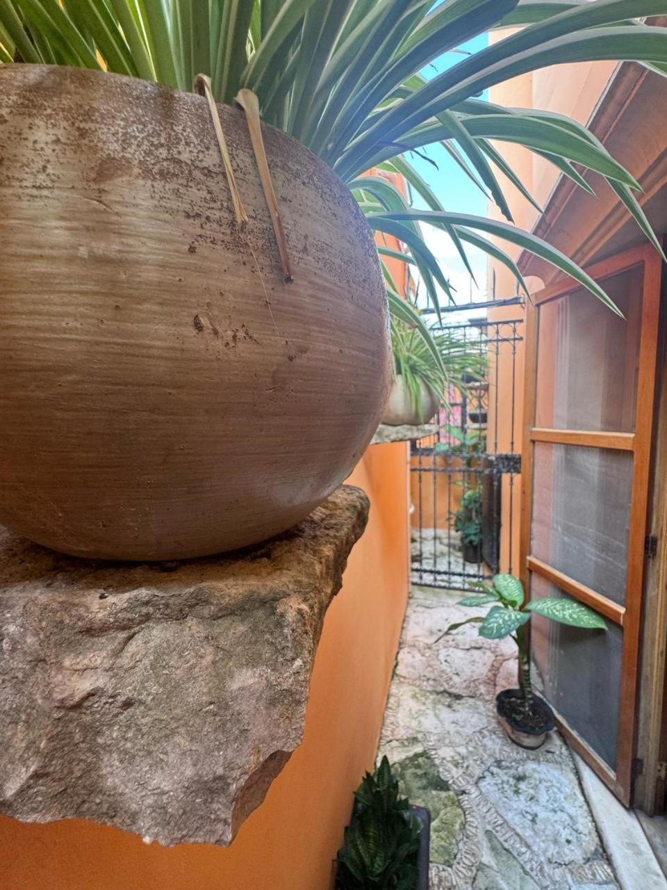 Hotel Casa Mallorca Cancún Exteriör bild
