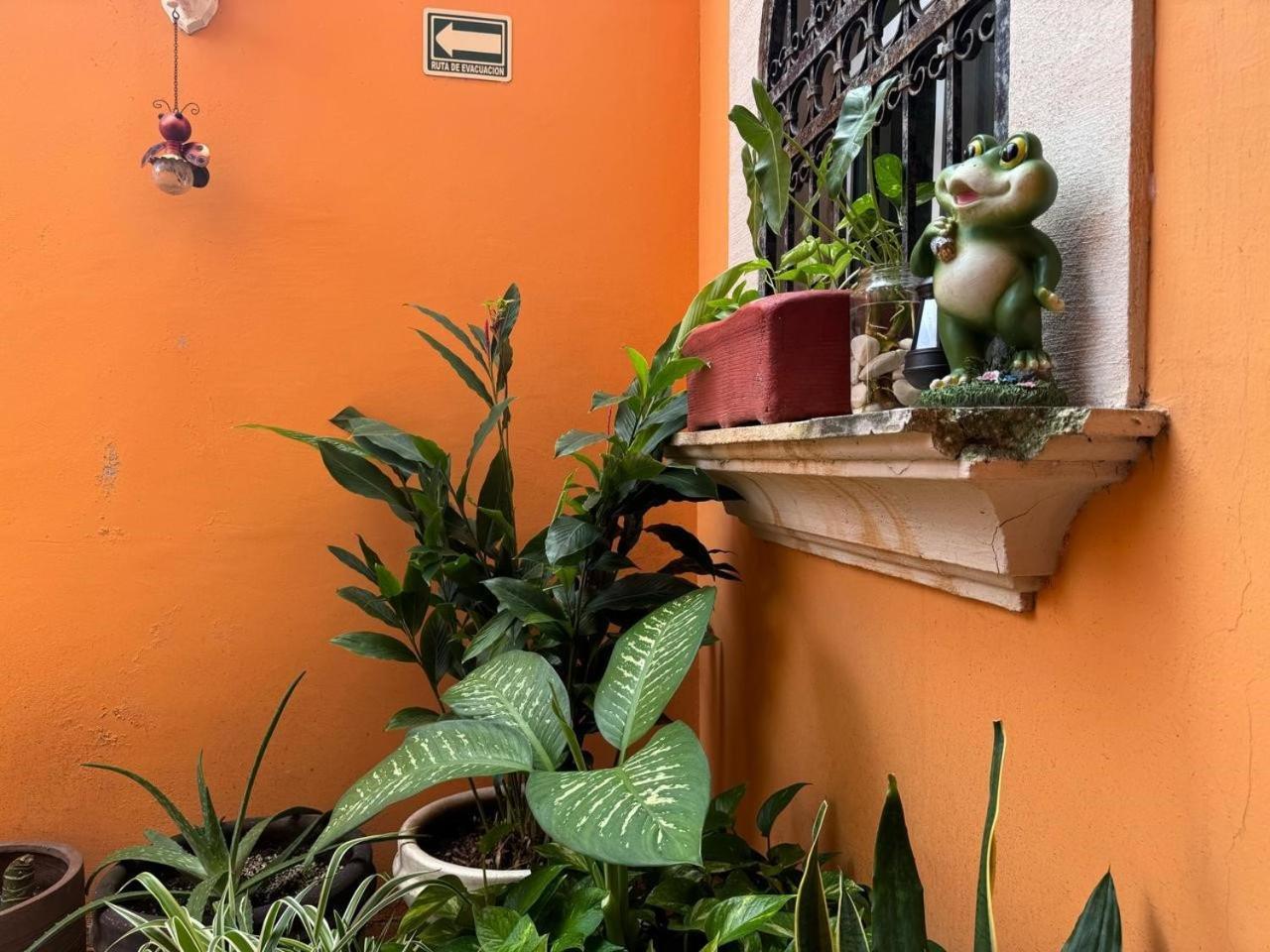 Hotel Casa Mallorca Cancún Exteriör bild