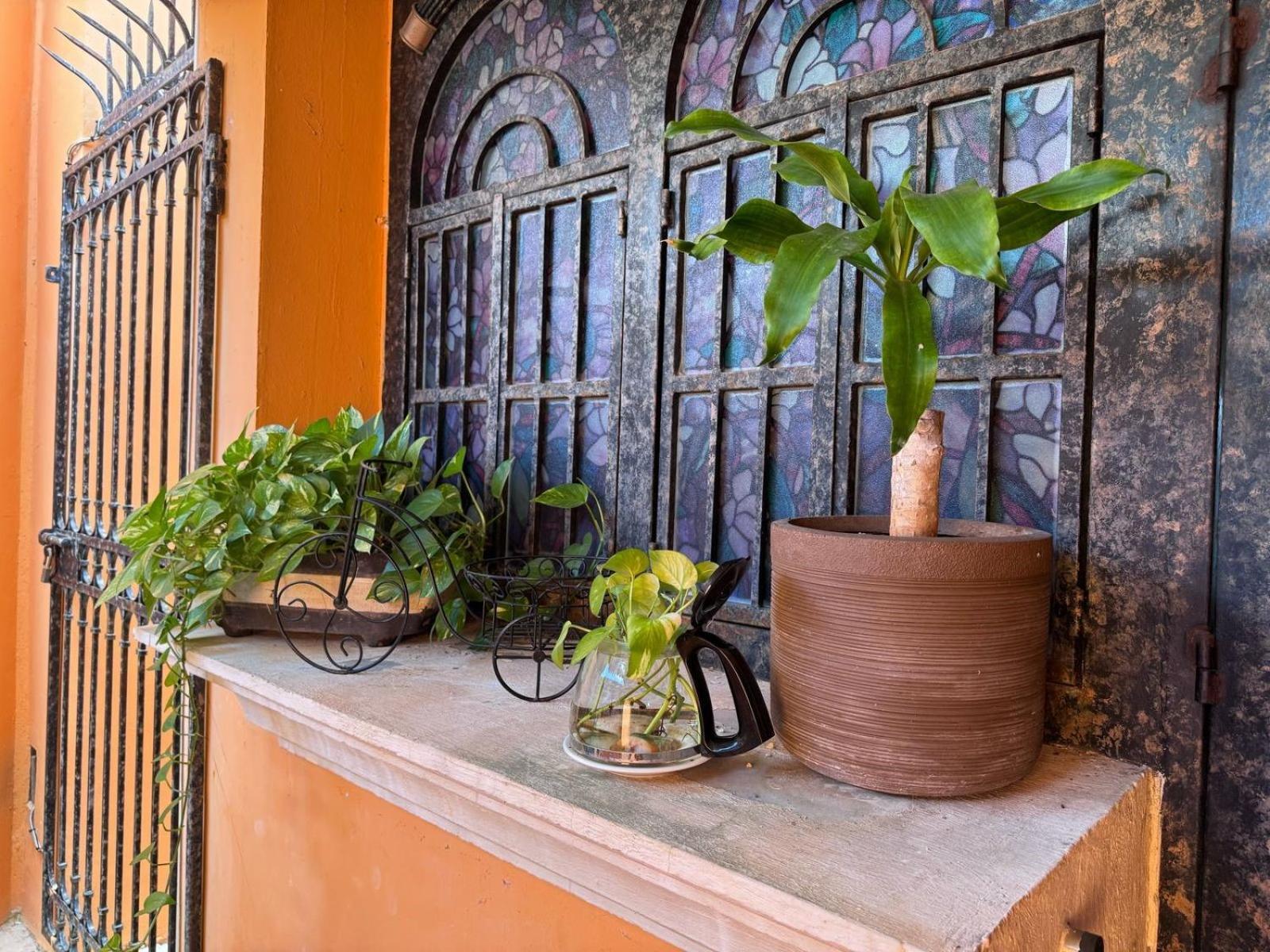 Hotel Casa Mallorca Cancún Exteriör bild