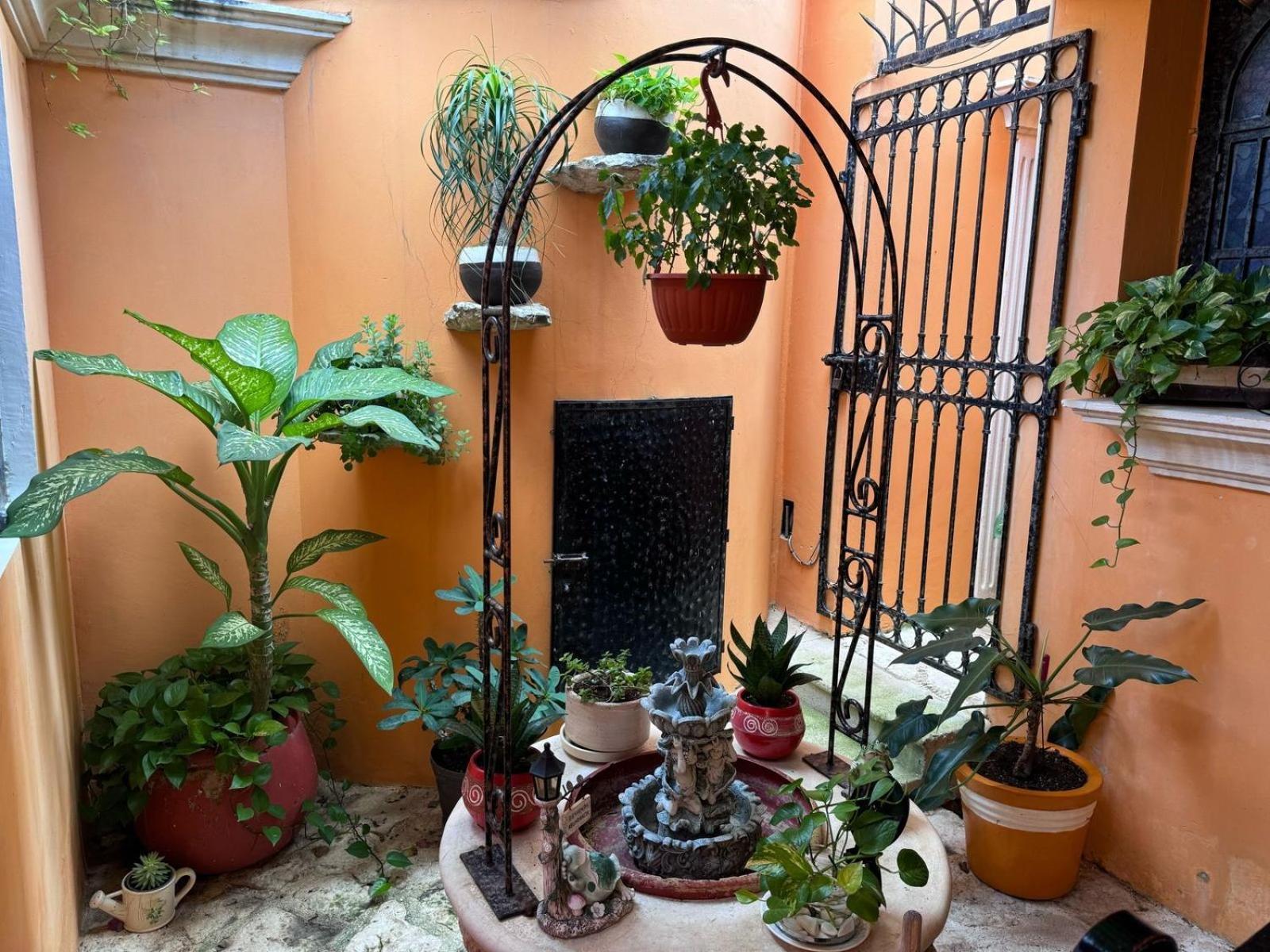 Hotel Casa Mallorca Cancún Exteriör bild